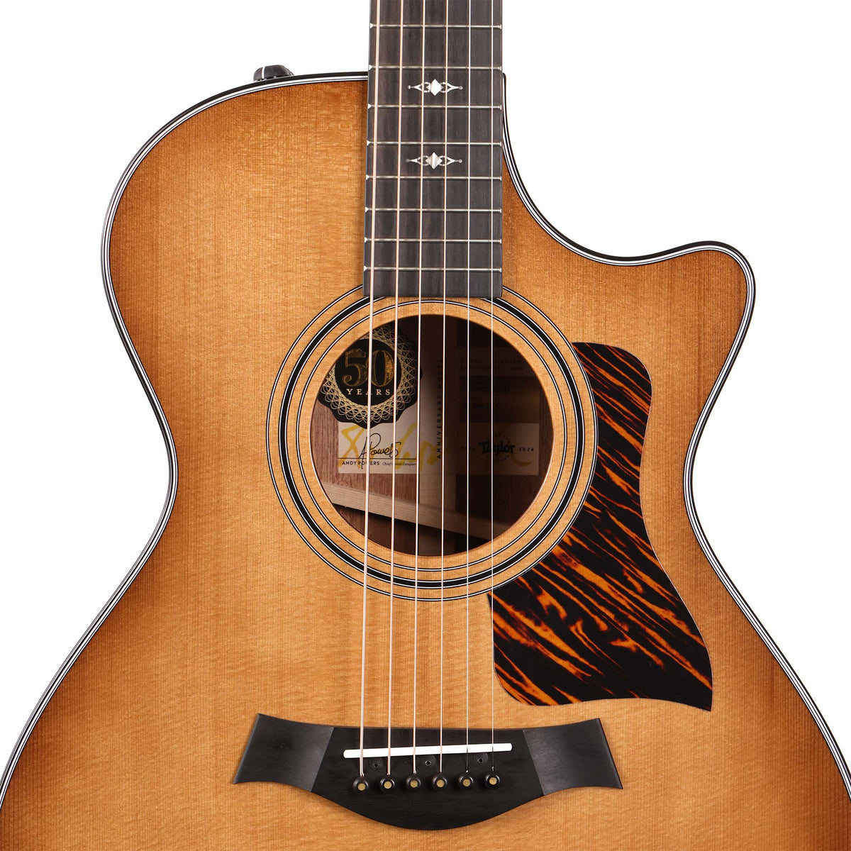 Taylor 50th Anniversary 312ce LTD Acoustic-Electric Shaded Edgeburst — 4