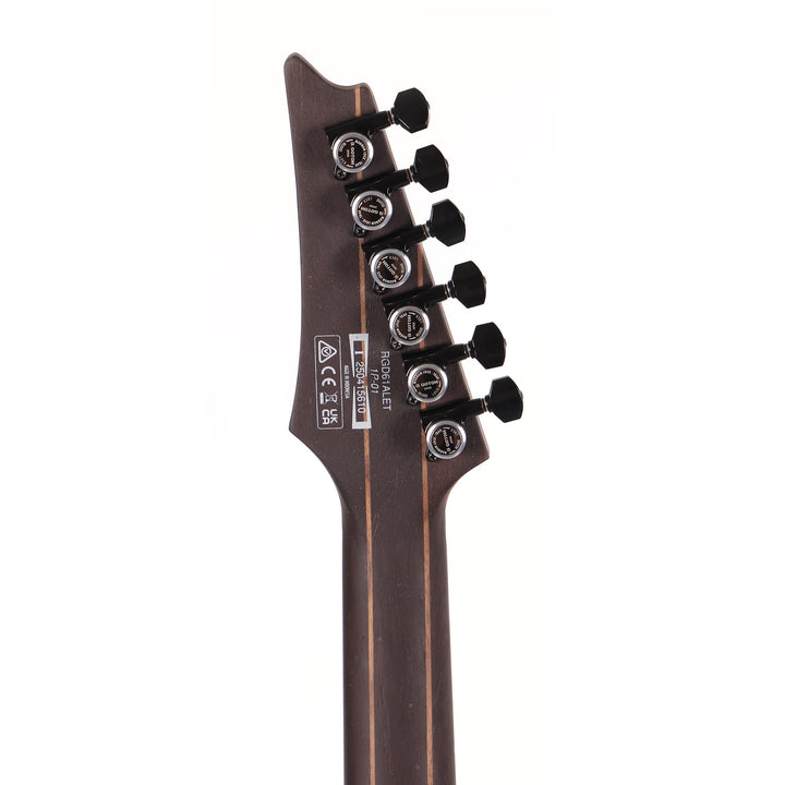 Ibanez Axion Label RGD61ALET Metallic Gray Matte