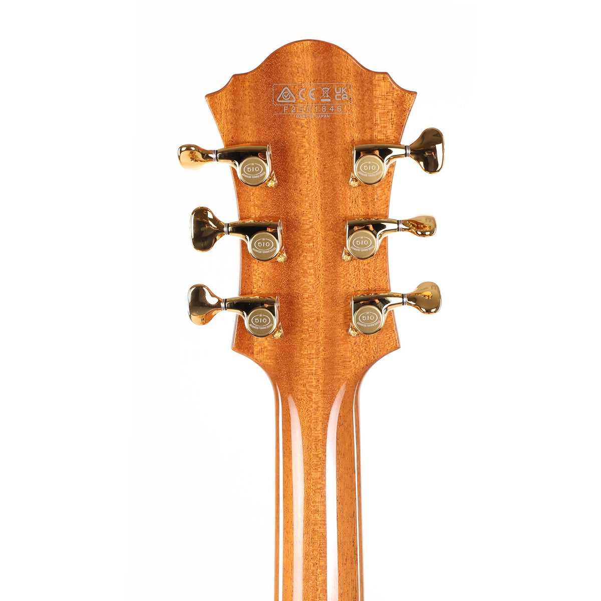 Ibanez PM200 Pat Metheny Signature Hollowbody Natural — 8