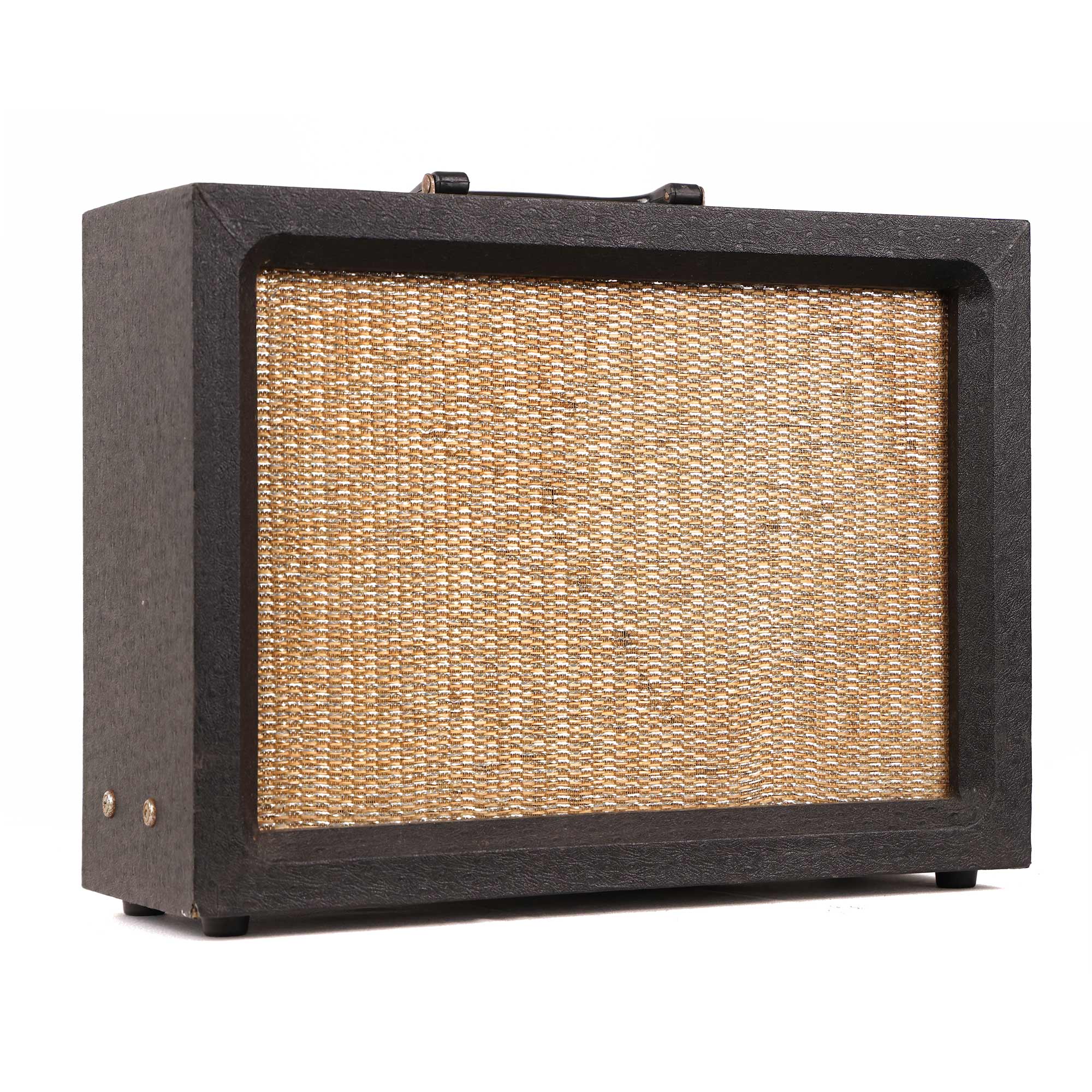 Rex Valco Model Four Tube Dual Input 1x8 Combo Amplifier | The