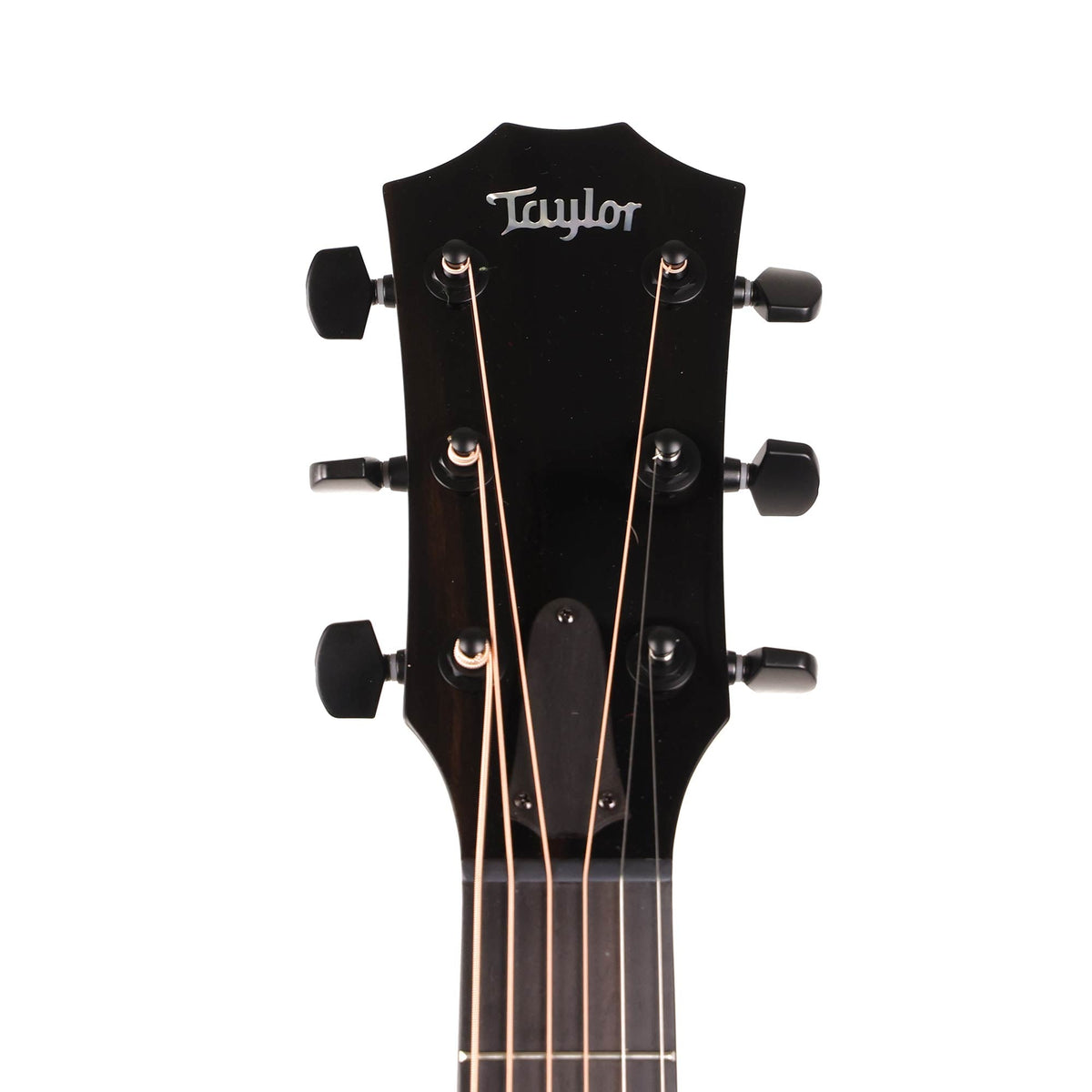 Taylor Custom Shop 2025 Catch Event Grand Concert Shamel Ash Dark Turquoise Metallic — 11