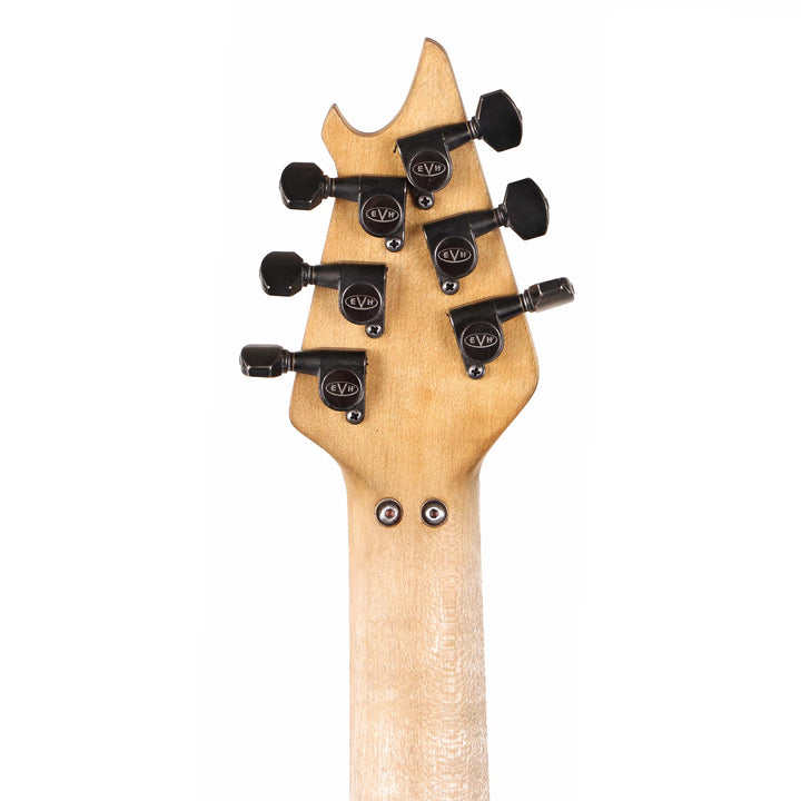 EVH Custom Shop Wolfgang Special Edition Relic Black and White Stripes