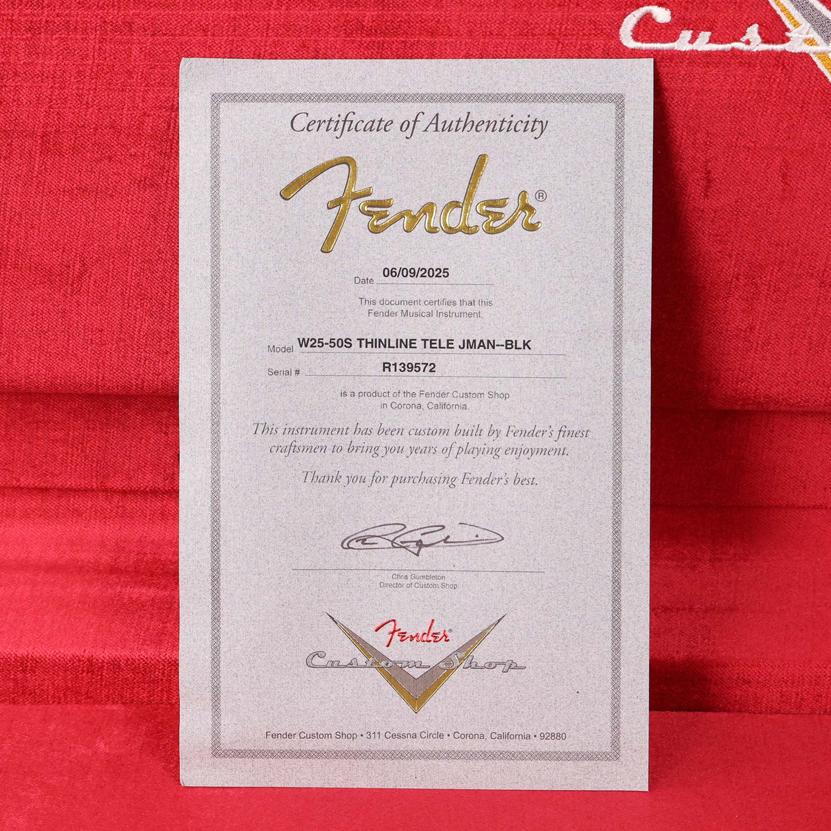 Fender Custom Shop '50s Thinline Telecaster Journeyman Relic Black — 14