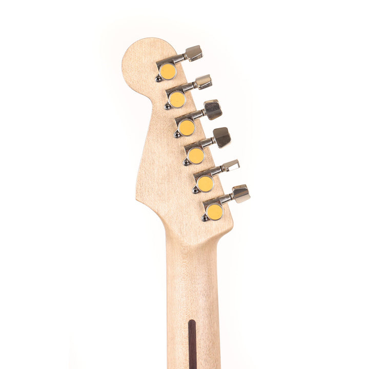 Charvel Custom Shop San Dimas Nitro Aged Relic Pink Paisley