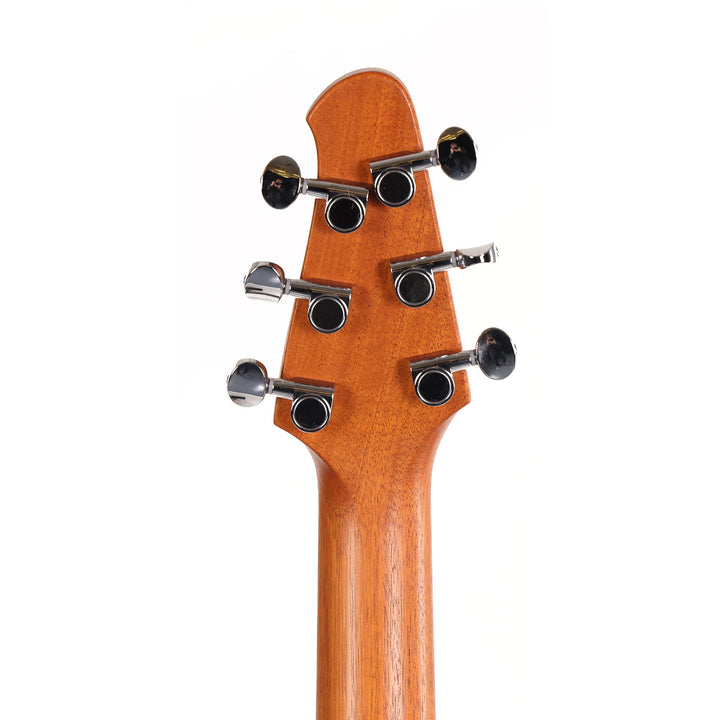 Powers Electric A-Type Ebony