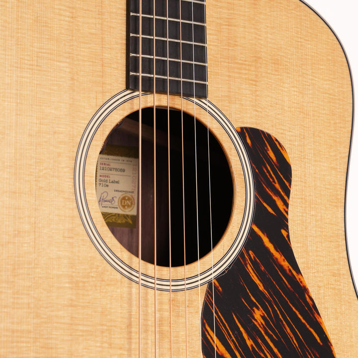 Taylor Gold Label Collection 710e Acoustic-Electric
