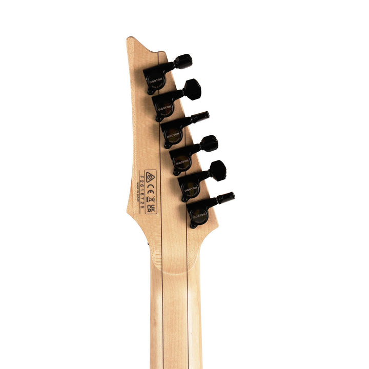 Ibanez Prestige RG653DX White Flat