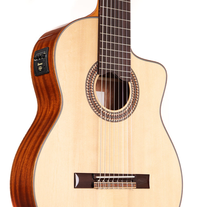 Ibanez GA3008CENT 8-String Classical Nylon String Acoustic-Electric