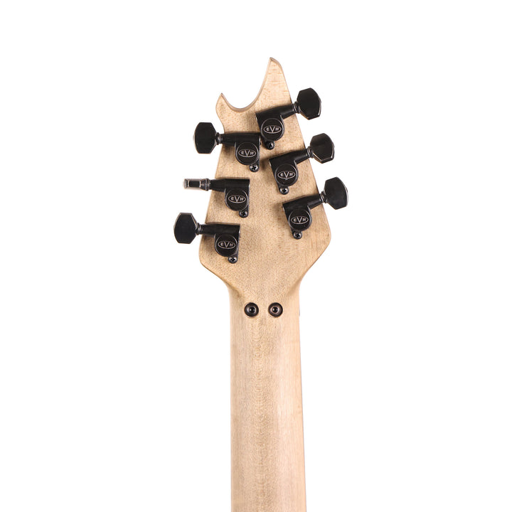 EVH Custom Shop Wolfgang Special Edition Relic Black and White Stripes