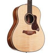 Taylor Custom Shop Gold Label Grand Pacific Music Zoo-Spec Handpicked Bearclaw Spruce and Honduran Rosewood