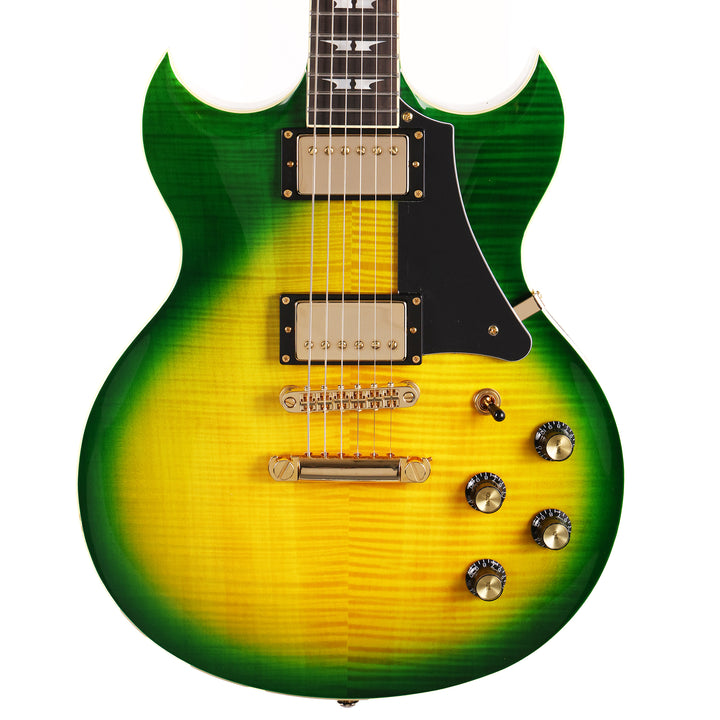 Woodrite Warlord Standard Guitar Iguana Burst Flame Top