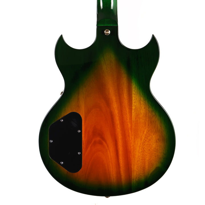 Woodrite Warlord Standard Guitar Iguana Burst Flame Top