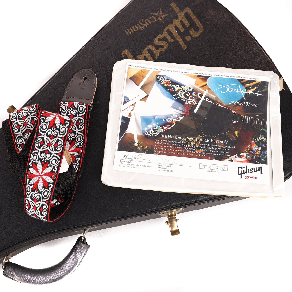 Gibson Custom Shop Jimi Hendrix Psychedelic Hand-Painted Flying V 2006 — 9