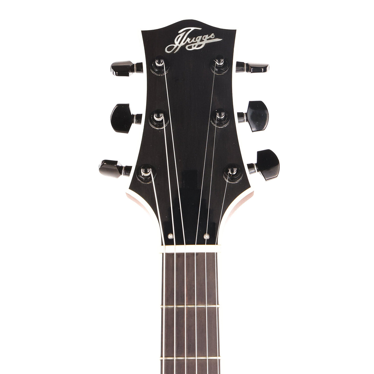 Triggs Guitars Semi-Hollowbody Prototype Used Silver — 4