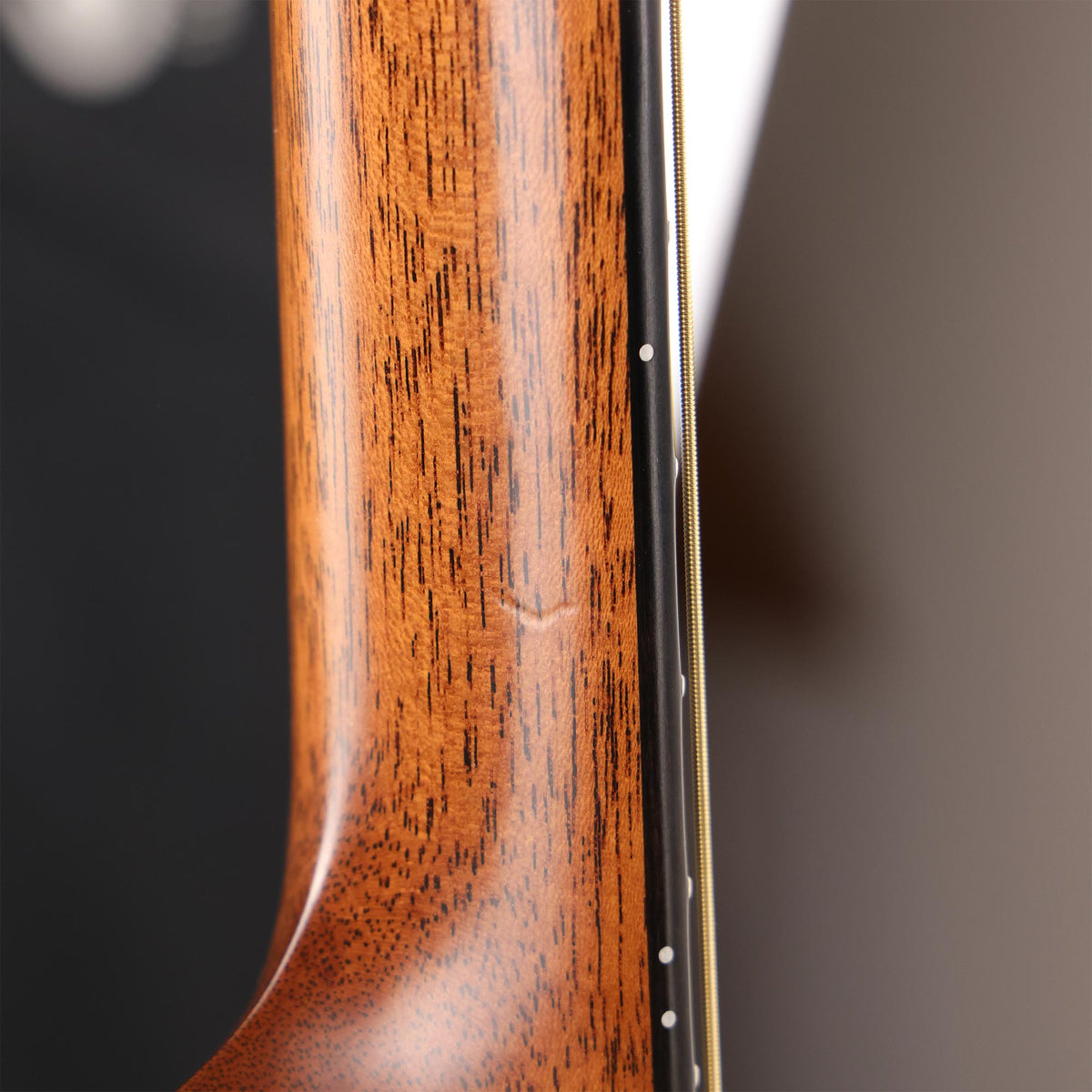 Taylor Builder's Edition 816ce Acoustic-Electric 2020 — 9