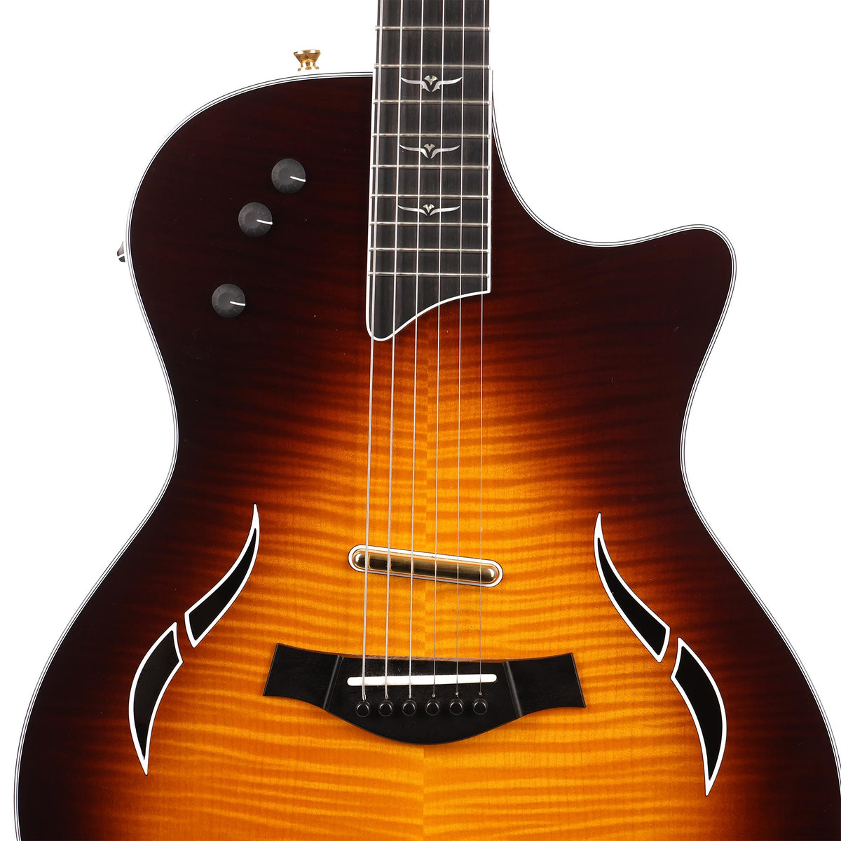 Taylor T5 Pro Tobacco Sunburst 2006 — 6