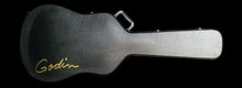 Godin Hardshell Multiac Case