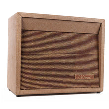 DeArmond R5T 1x10 Combo Guitar Amplifier