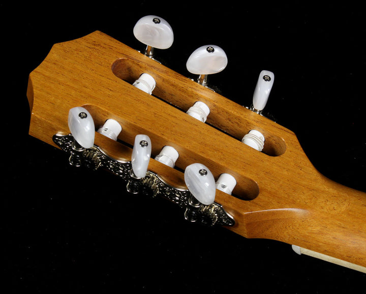 Taylor 814ce-N Grand Auditorium Nylon-String Acoustic Guitar Natural