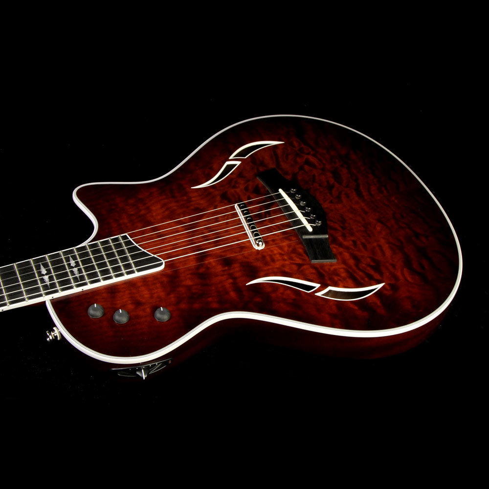 Used Taylor T5z Pro Acoustic-Electric Guitar Molasses Sunburst — 5