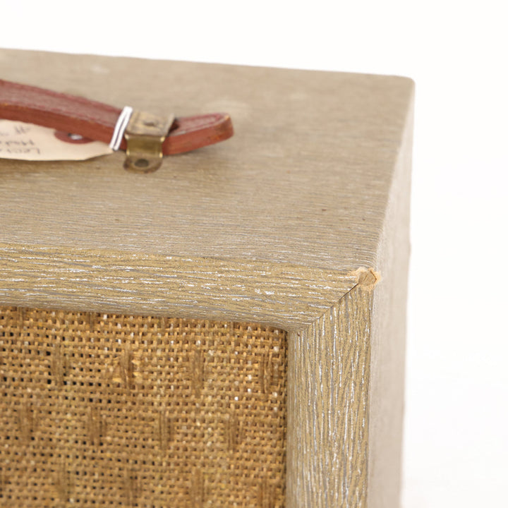 Lectrolab Model R200 Combo Amplifier