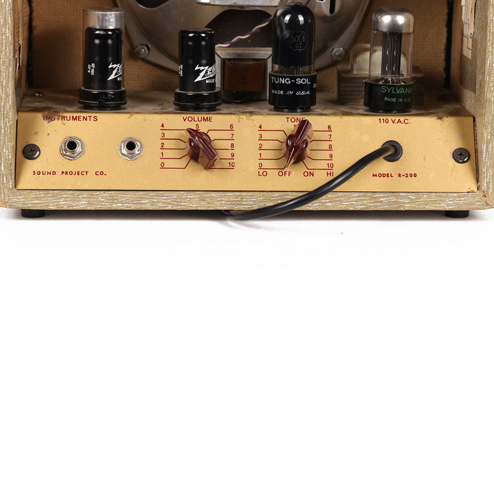 Lectrolab Model R200 Combo Amplifier