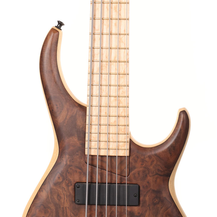MTD 535-24 Walnut Top 5-String Bass 2022