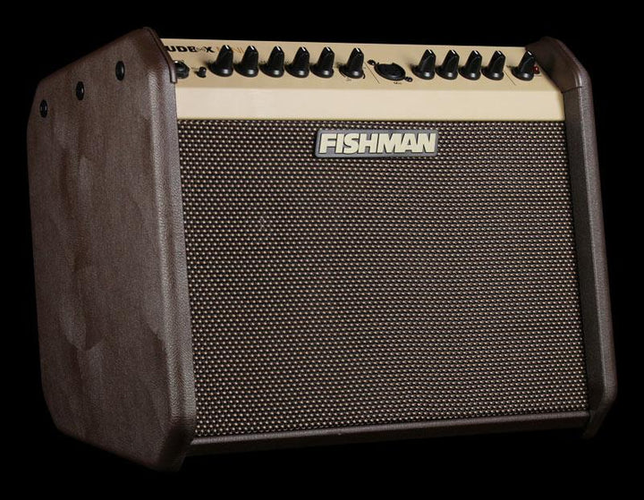 Fishman Loudbox Mini 60 Watt Acoustic Guitar Amplifier