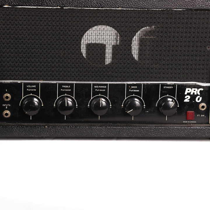 Garnet Pro 200 Amplifier
