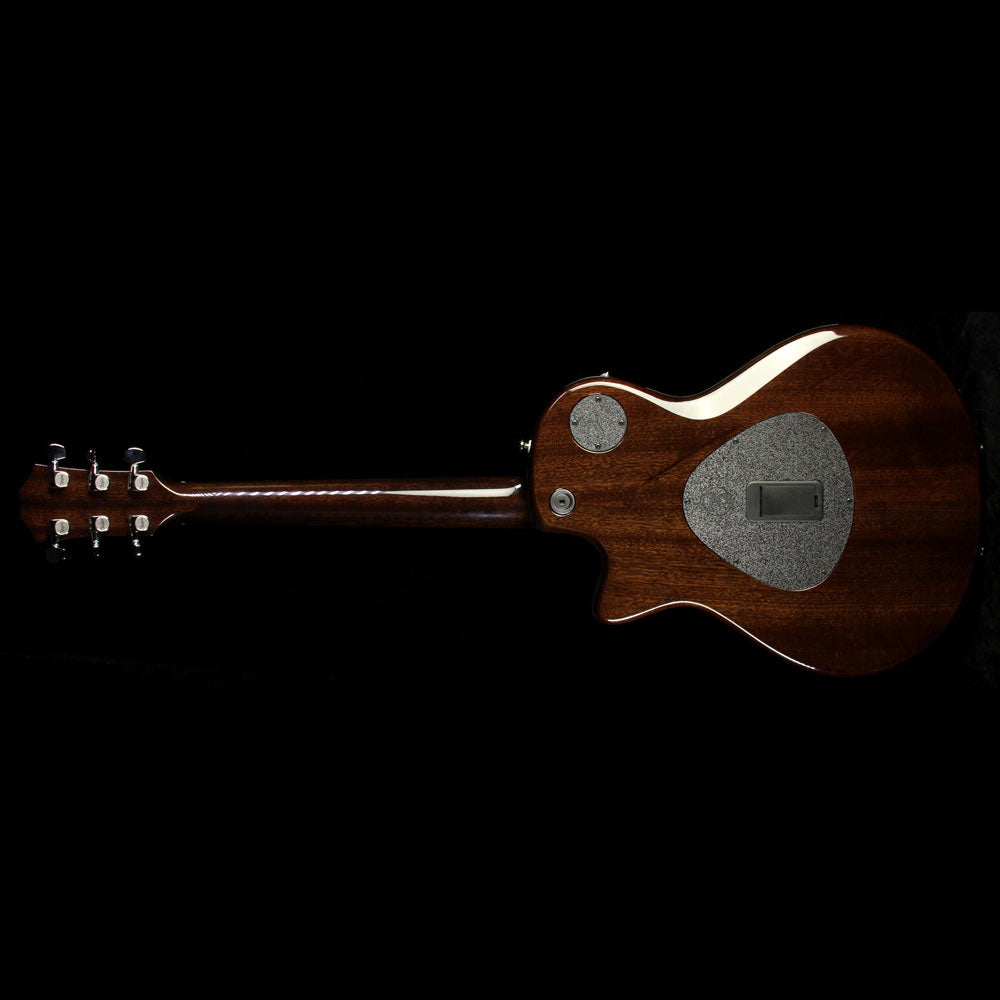 Taylor T5z Pro Limited Edition Indian Rosewood Acoustic Guitar Natural — 3