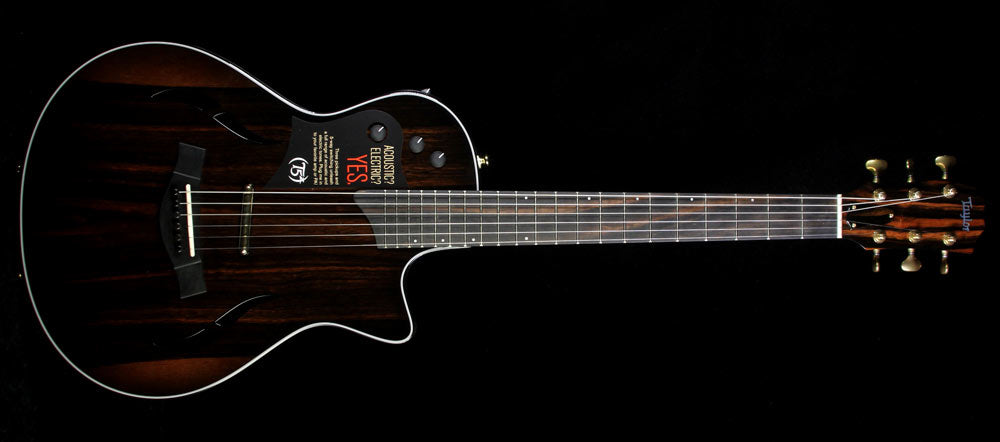 Taylor Custom Shop BTO T5z Macassar Ebony Electric Guitar Macassar Stain — 2