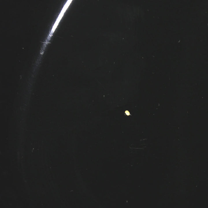 Used 1980's Ovation Ultra GS Electric Guitar Black