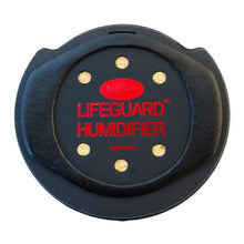 Kyser Lifeguard Acoustic Guitar Humidifier