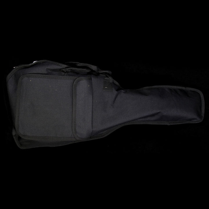 Used Fender FM-100 Mandolin Starter Pack