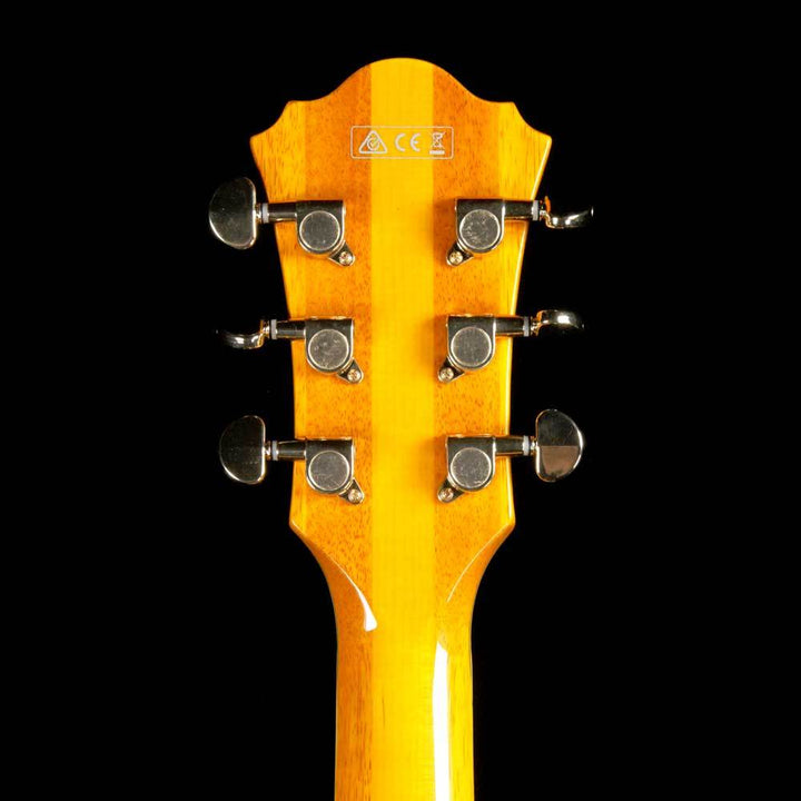 Ibanez PM2 Pat Metheny Signature Hollowbody Natural