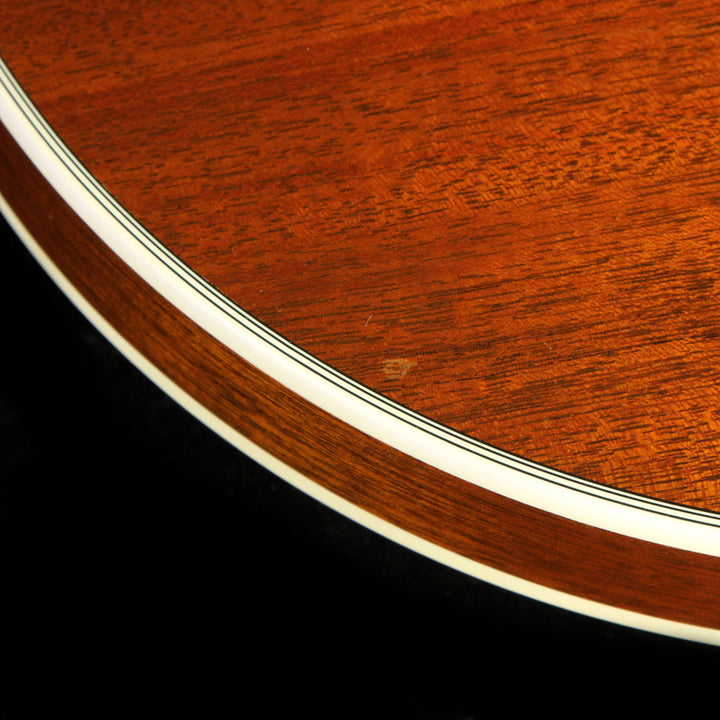 Used Deering 6 String Banjo Black Skin Natural Back