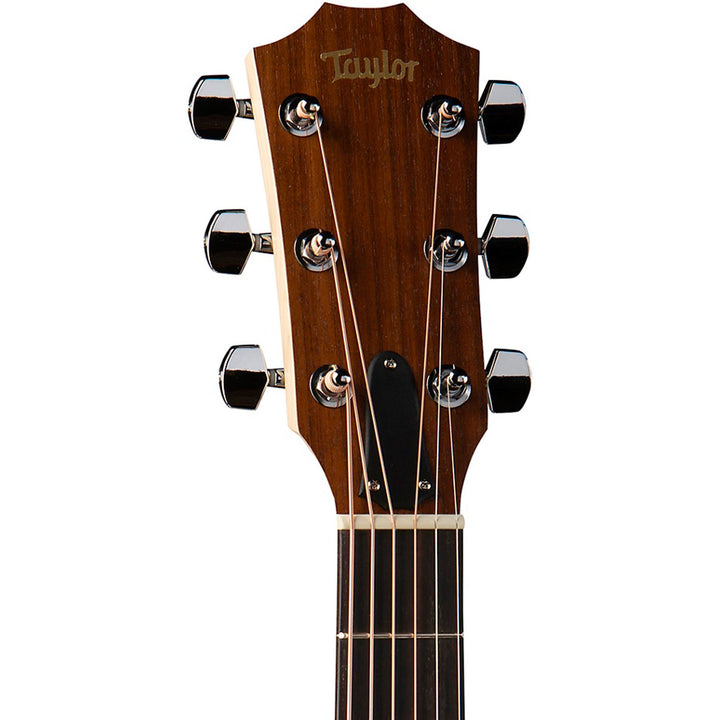 Taylor Academy 10e Dreadnought Natural