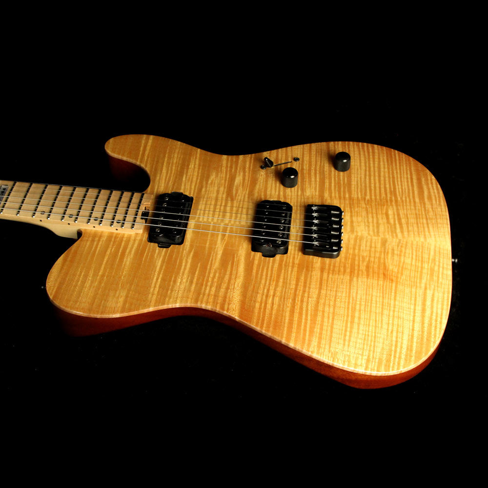 ESP USA TE-II Hardtail Vintage Natural — 5