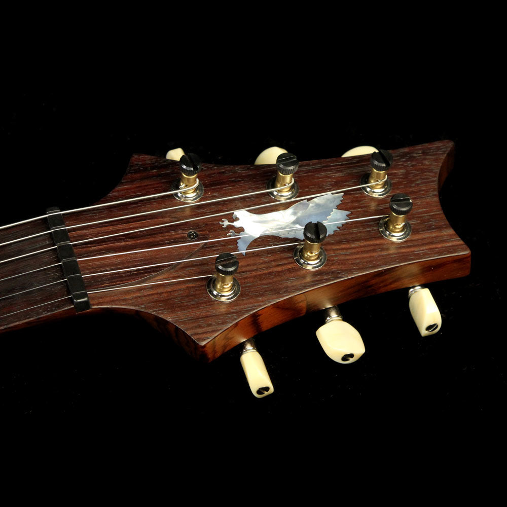 Used 2010 Paul Reed Smith Private Stock DGT David Grissom Guitar White Tiger Burst — 4