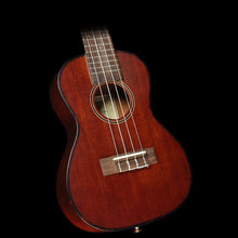 Journey Instruments J-Uke UC310 Concert-Size Ukulele Solid Mahogany Top