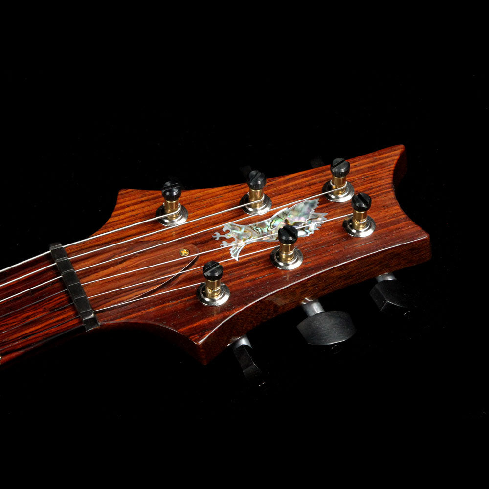 Paul Reed Smith Private Stock DGT David Grissom Aqua Violet Dragons Breath — 4