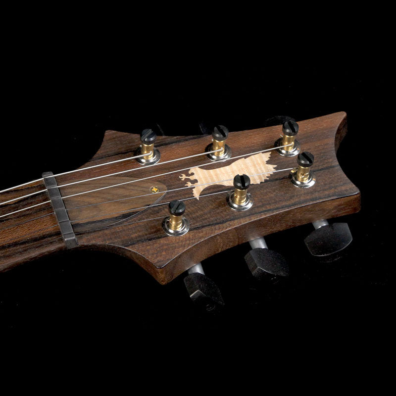 Paul Reed Smith Private Stock McCarty Electric Guitar Rainforest 1-Piece Quilt Top Ziricote Neck — 4