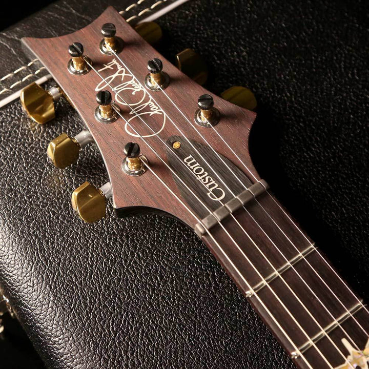 PRS Custom 24 10-Top Faded Whale Blue