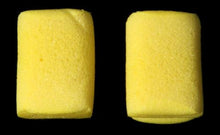 Planet Waves Foam Ear Plugs