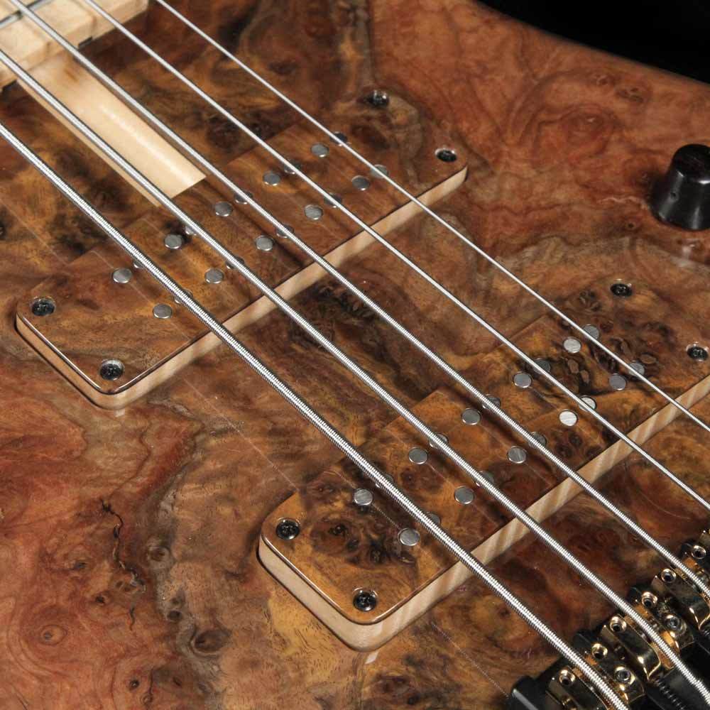F Bass BN5 5-String Bass Burled Walnut Top 2018 NAMM Display — 5