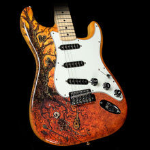 Used Fender Special Edition David Lozeau Art Stratocaster Electric Guitar Tree Of Life