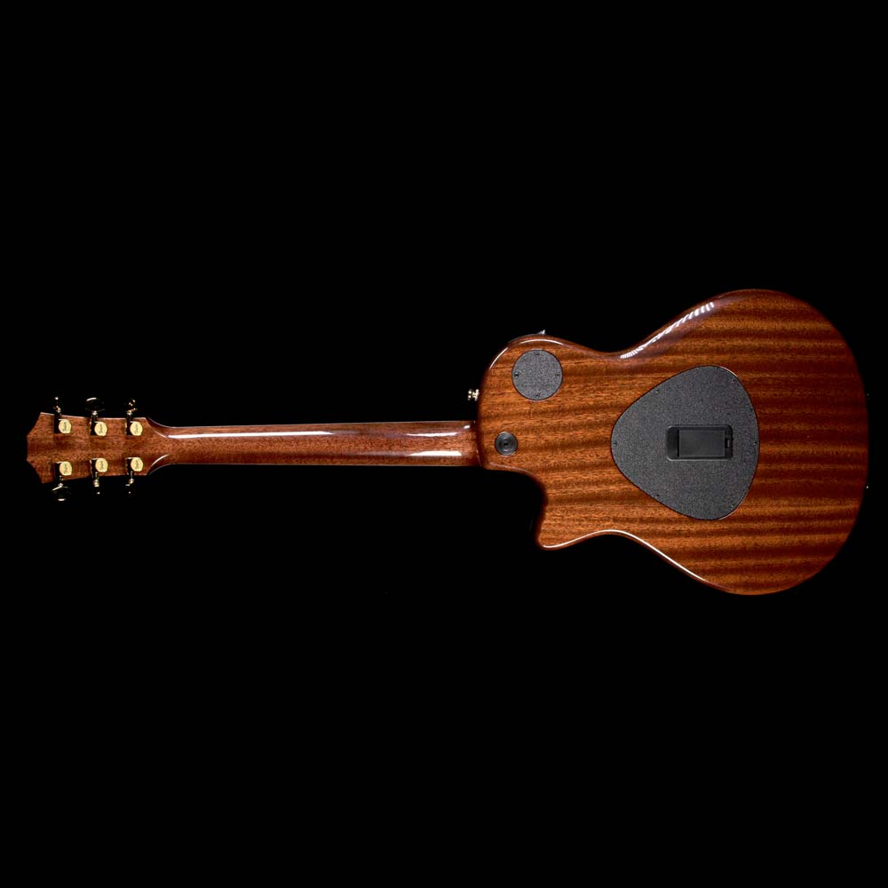 Taylor T5z Custom LTD Cocobolo Acoustic Guitar Natural — 3