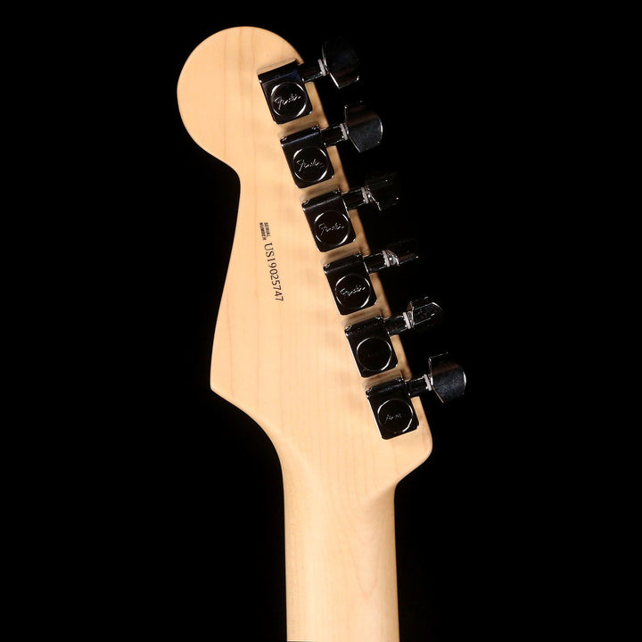 Fender American Pro Stratocaster Natural