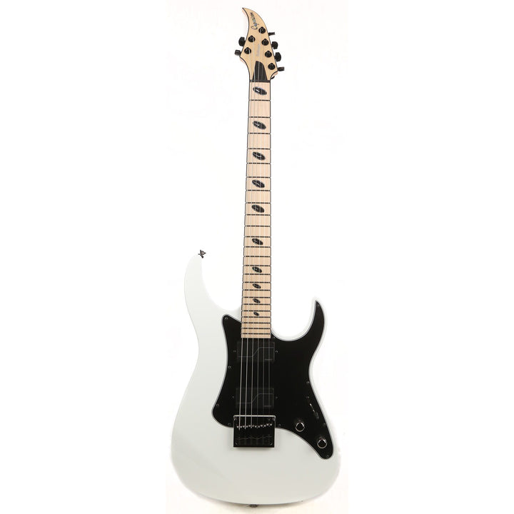 Caparison Dellinger-JSM Joel Stroetzel Signature White