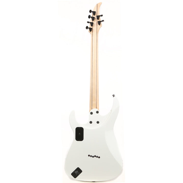 Caparison Dellinger-JSM Joel Stroetzel Signature White